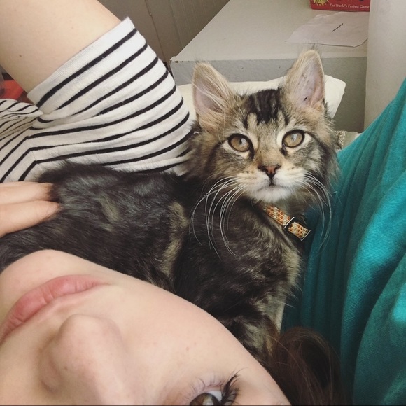 Meet your Posher, Emily - Picture 3 of 4