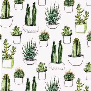 Meet your Posher, Alysa