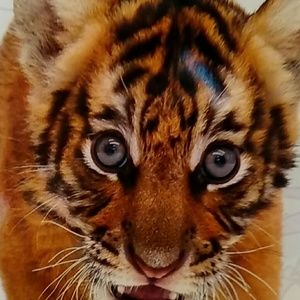 Meet your Posher, William