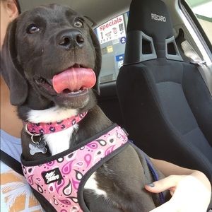 Meet your Posher, Kennedy