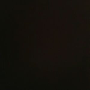 Meet your Posher, Ally