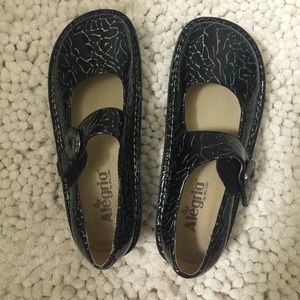 Algeria Paloma flatforms