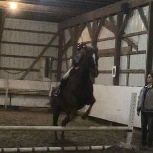 Meet your Posher, Dione