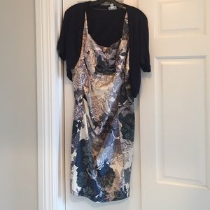 Pea in the Pod Maternity Dress