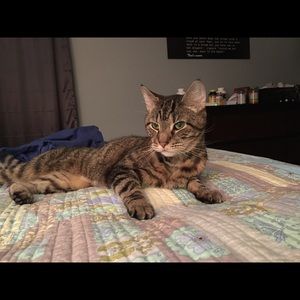 Meet your Posher, Sharon