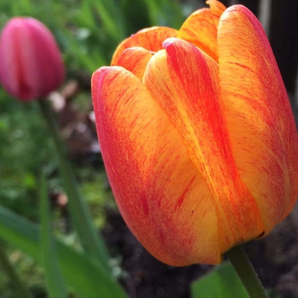 Meet your Posher, Rebecca