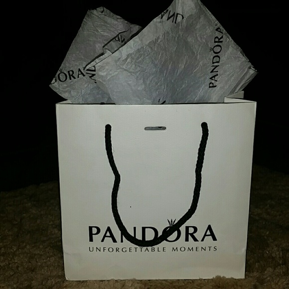 Pandora small gift bag