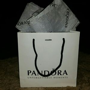 Pandora small gift bag