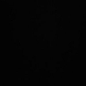 Meet your Posher, Frank