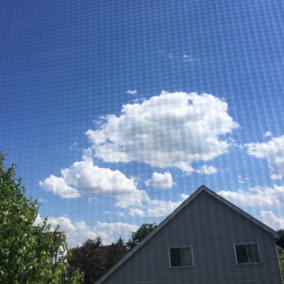 Meet your Posher, Alyssa