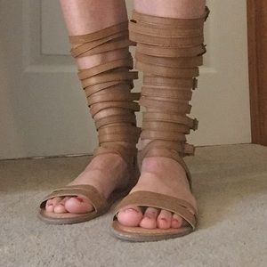 NEW Madden Girl size 6 brown Gladiator sandal