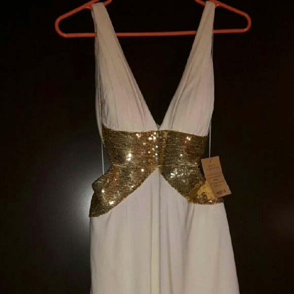 Arden B dress. -Size M- Brand New/Never worn.