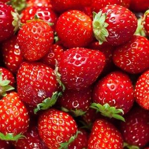 Meet your Posher, Toria