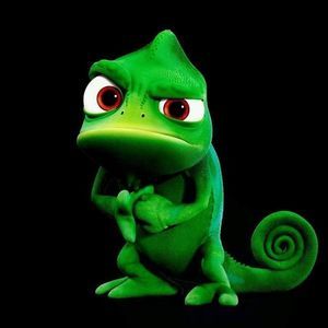 Meet your Posher, Kellie