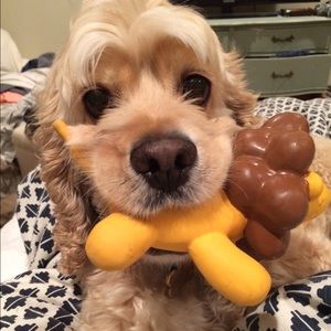 Meet your Posher, Emily