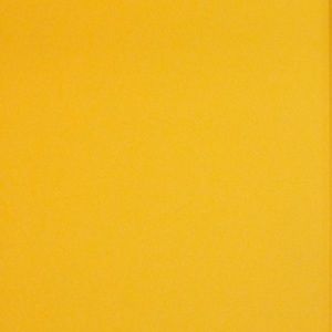 Meet your Posher, Ariana