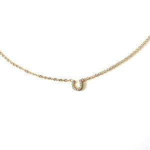 Pavé Horseshoe Necklace