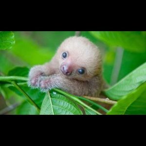 Meet your Posher, Elise