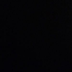 Meet your Posher, Susanna