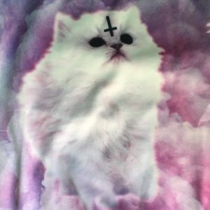 Kitten Crewneck