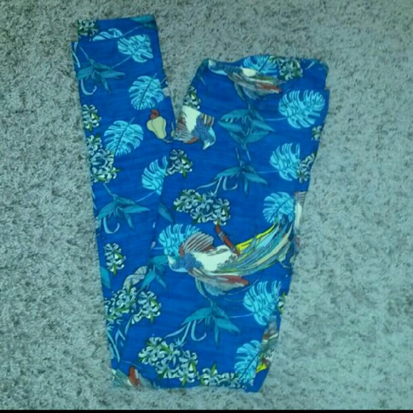 Lularoe OS leggings