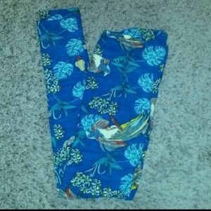 Lularoe OS leggings