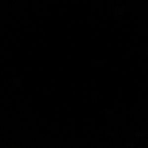 Meet your Posher, Antrevus