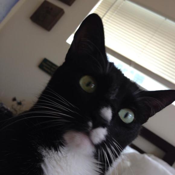 Meet your Posher, Brenda