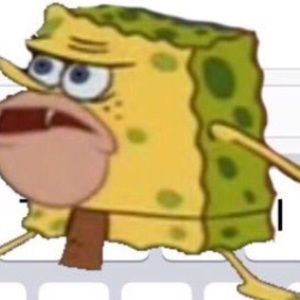 Meet your Posher, Ariana