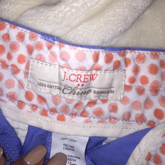 JCrew Shorts— sky blue - Picture 2 of 4