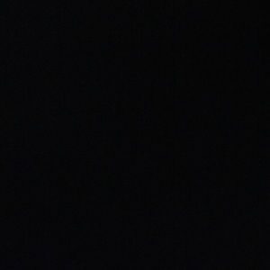 Meet your Posher, Gracie