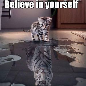 Meet your Posher, Renee