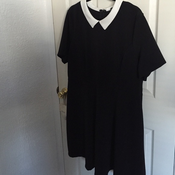 Peter Pan collar dress