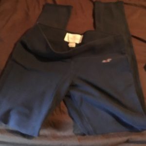 hollister pants