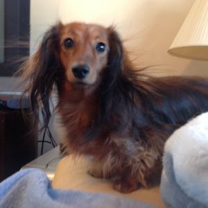 Meet your Posher, Ruby