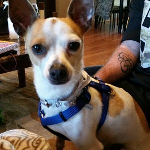 Meet your Posher, Daniele