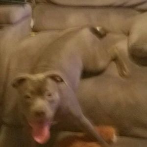 Meet your Posher, Elizabeth