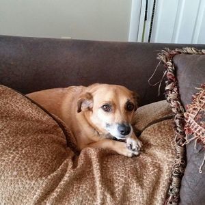 Meet your Posher, Janet