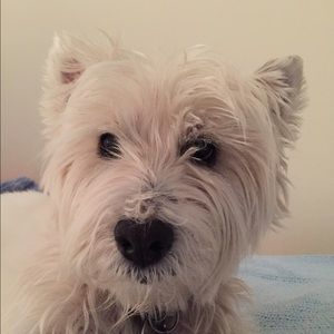 Meet your Posher, Julie