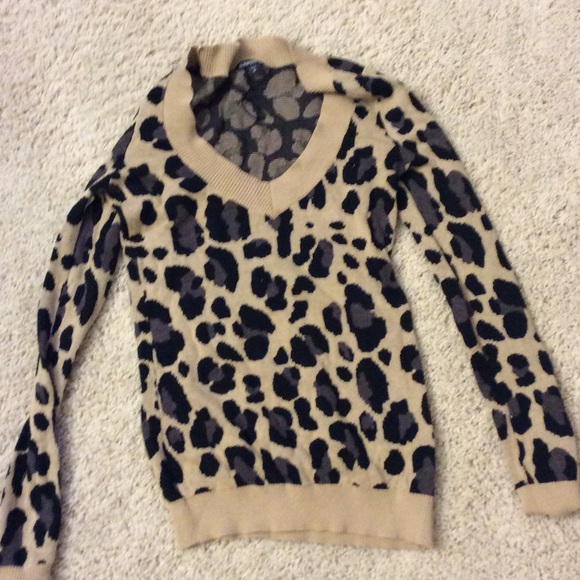 Express leopard sweater