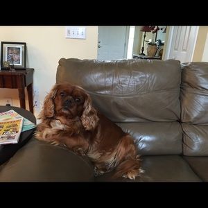 Meet your Posher, Dana