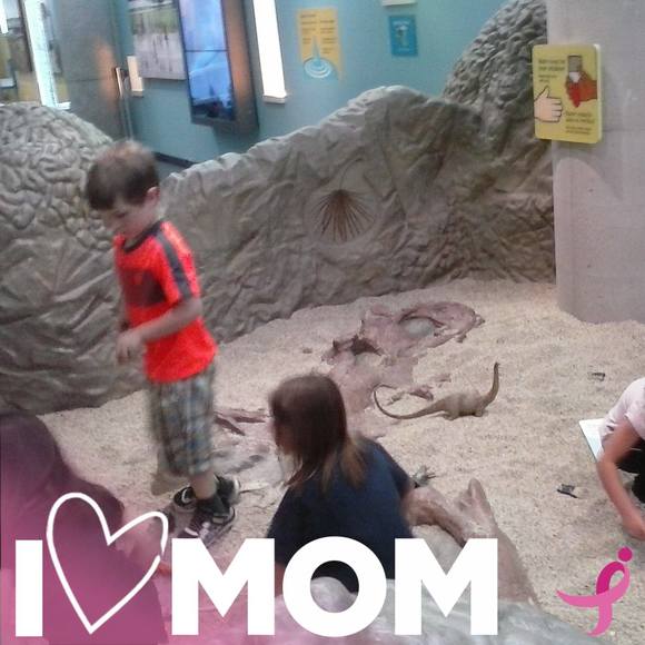 Meet your Posher, Diamond - Picture 1 of 1