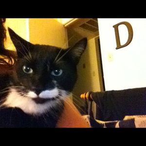 Meet your Posher, Gracie