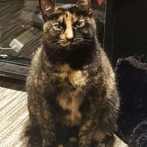 Meet your Posher, Raelene