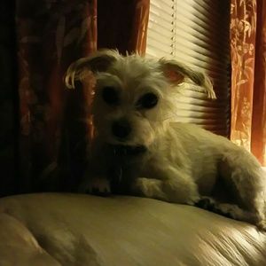 Meet your Posher, Joann