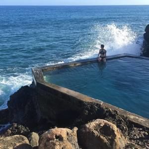 Meet your Posher, Annie