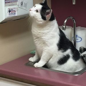 Meet your Posher, Maureen