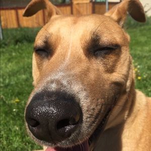 Meet your Posher, Theresa