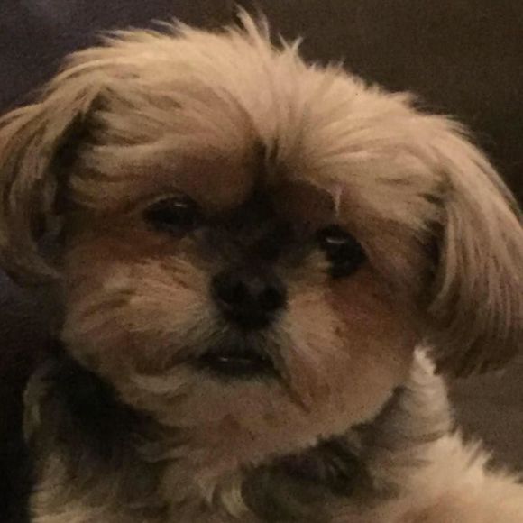 Meet your Posher, Wendy