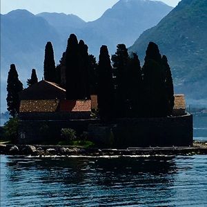 Meet your Posher, Anne